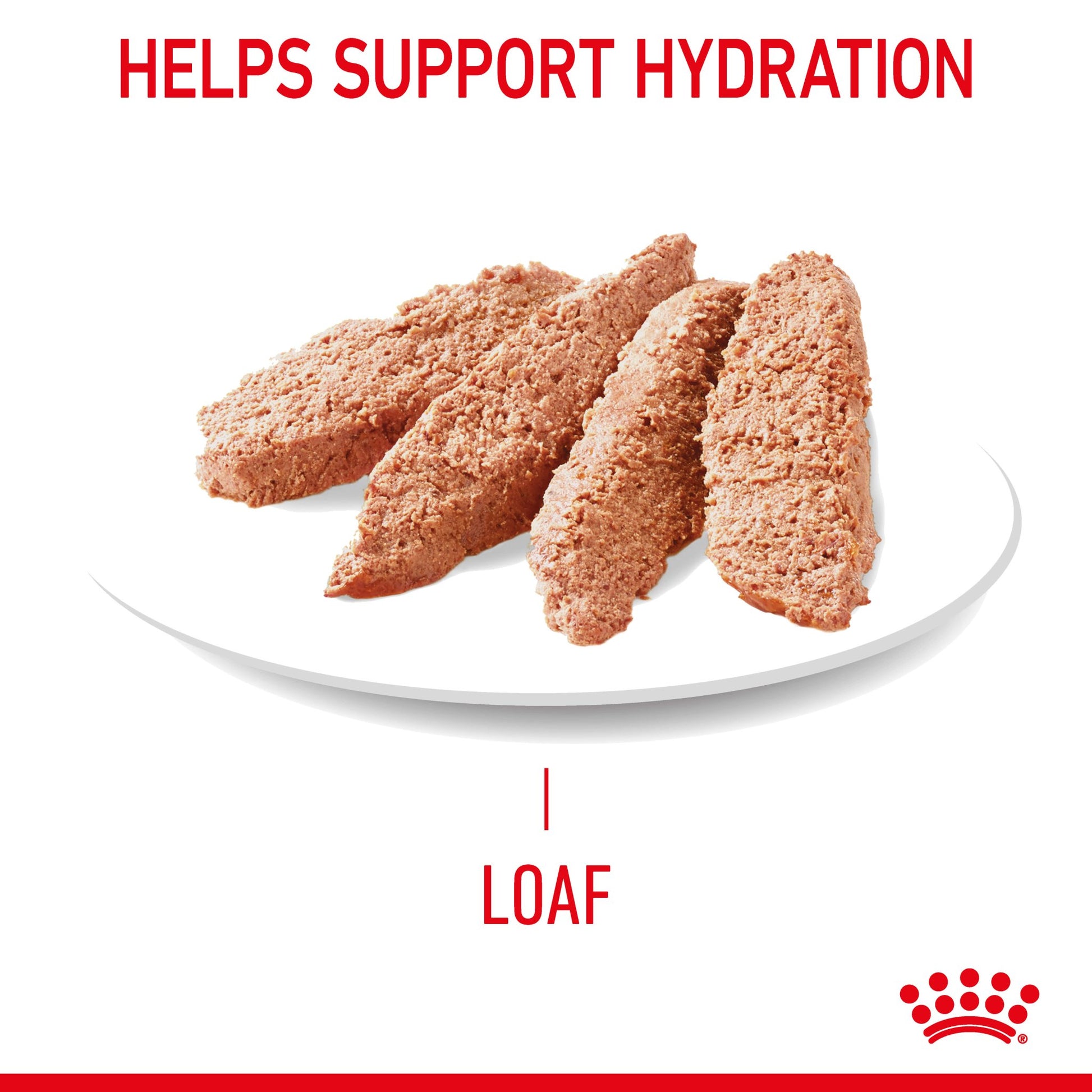 Royal Canin Digestive Care Loaf Adult Cat Wet Food Pouches - PetPost Australia