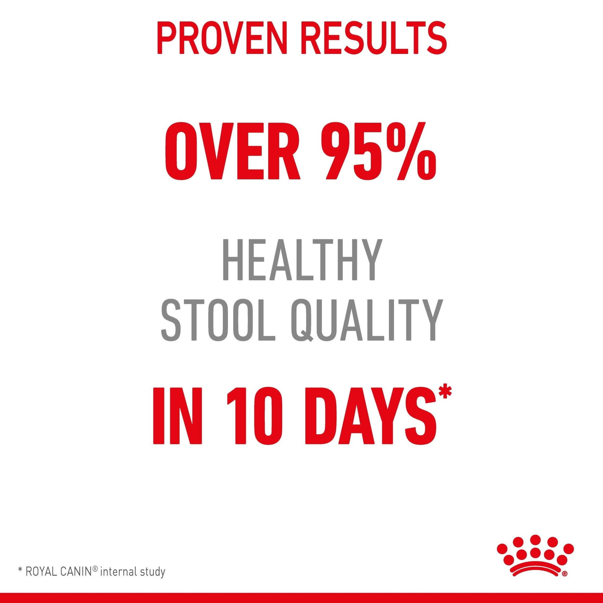 Royal Canin Digestive Care Loaf Adult Cat Wet Food Pouches - PetPost Australia
