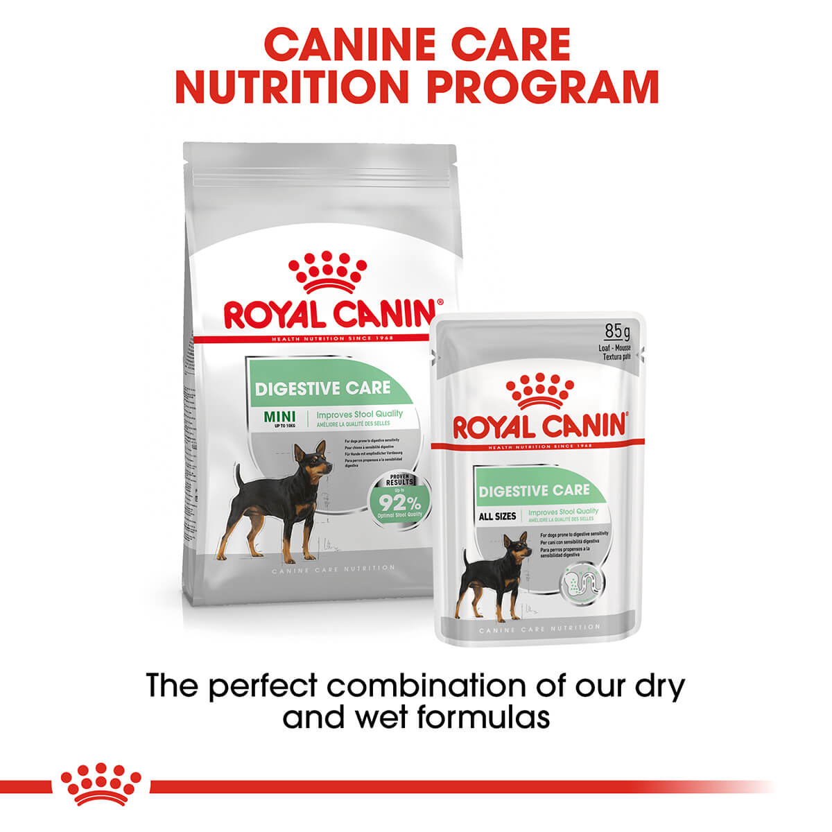 Royal Canin Digestive Care Loaf Adult Wet Dog Food - PetPost Australia