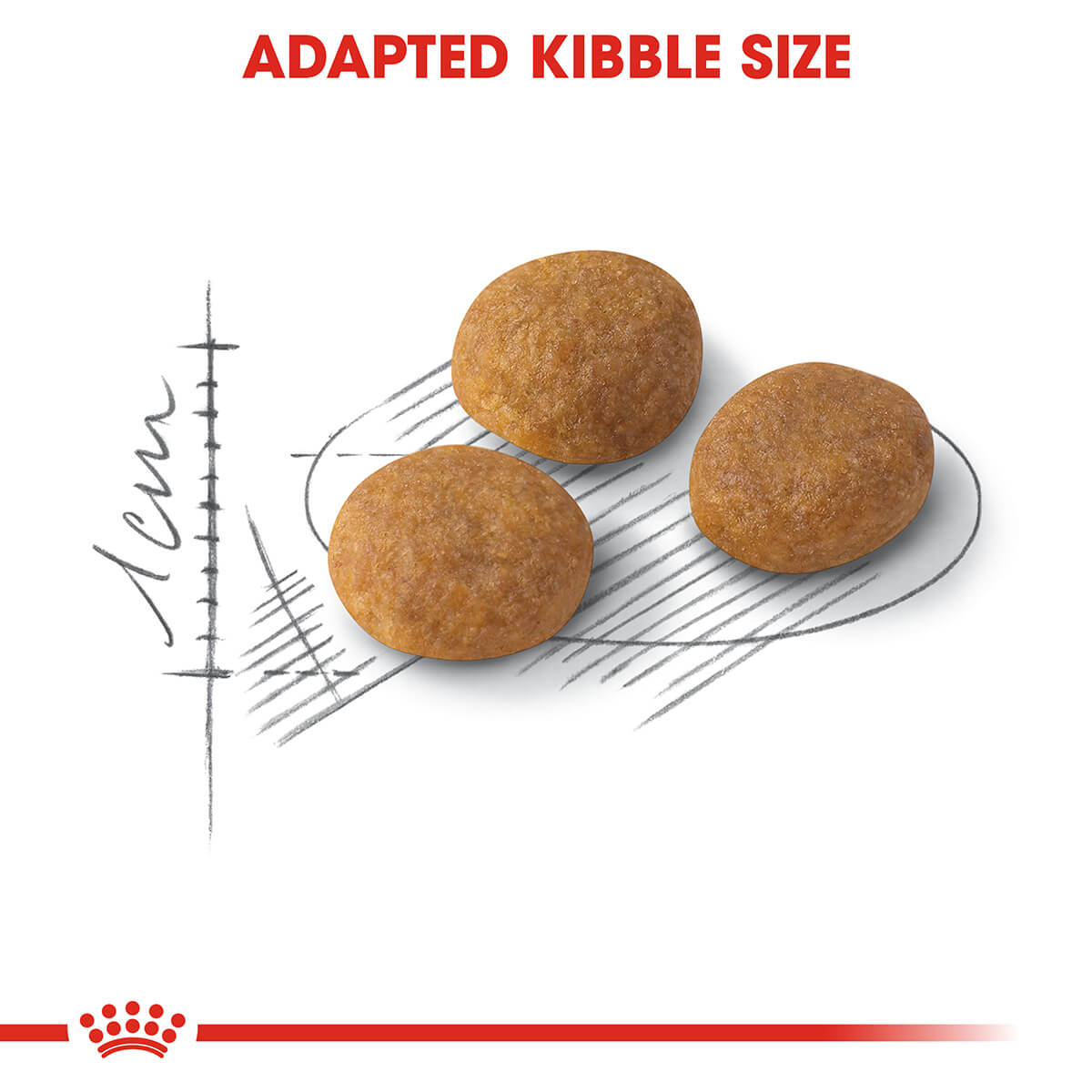 Royal Canin Exigent Aromatic Adult Dry Cat Food - PetPost Australia