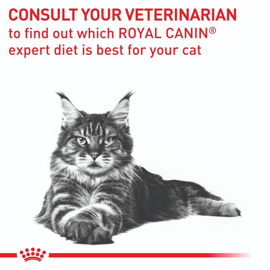 Royal Canin Expert Calm Dry Cat Food - PetPost Australia