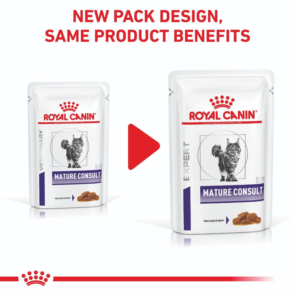 Royal Canin Expert Mature Consult Cat 85g - PetPost Australia