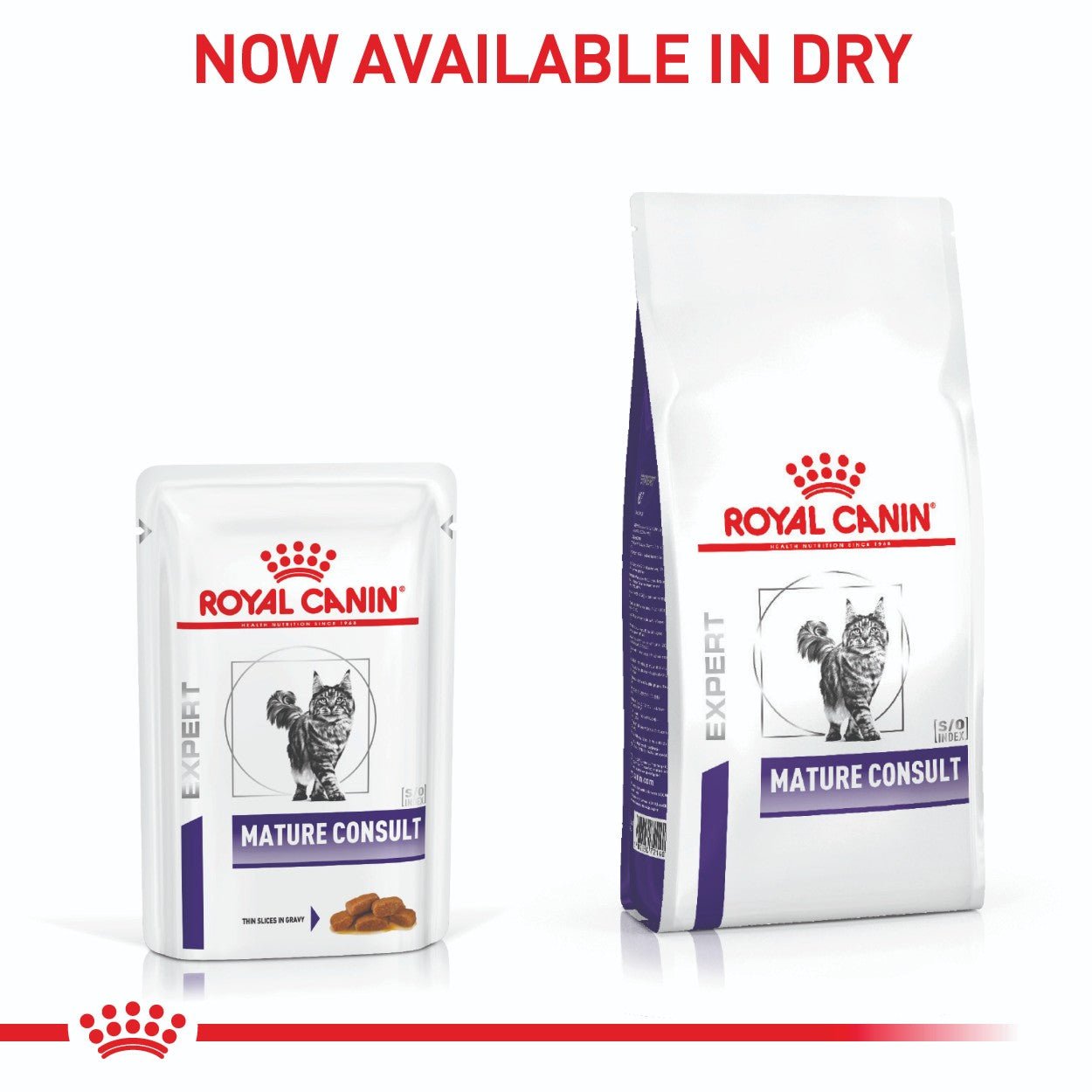 Royal Canin Expert Mature Consult Cat 85g - PetPost Australia