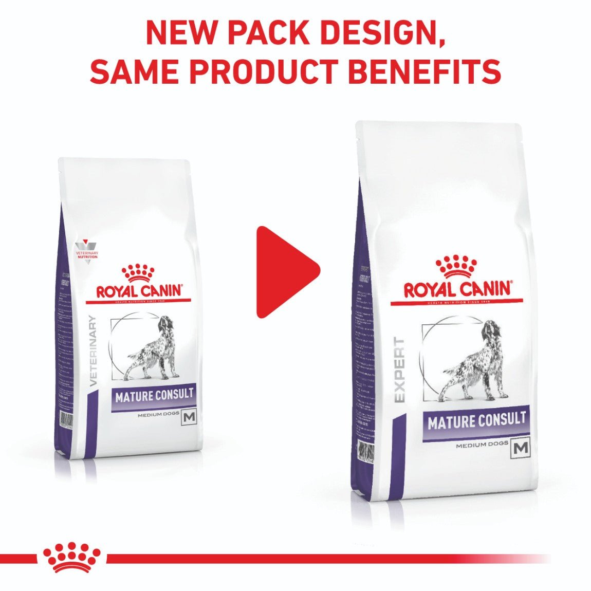 Royal Canin Expert Mature Consult Medium Dry Dog Food - PetPost Australia