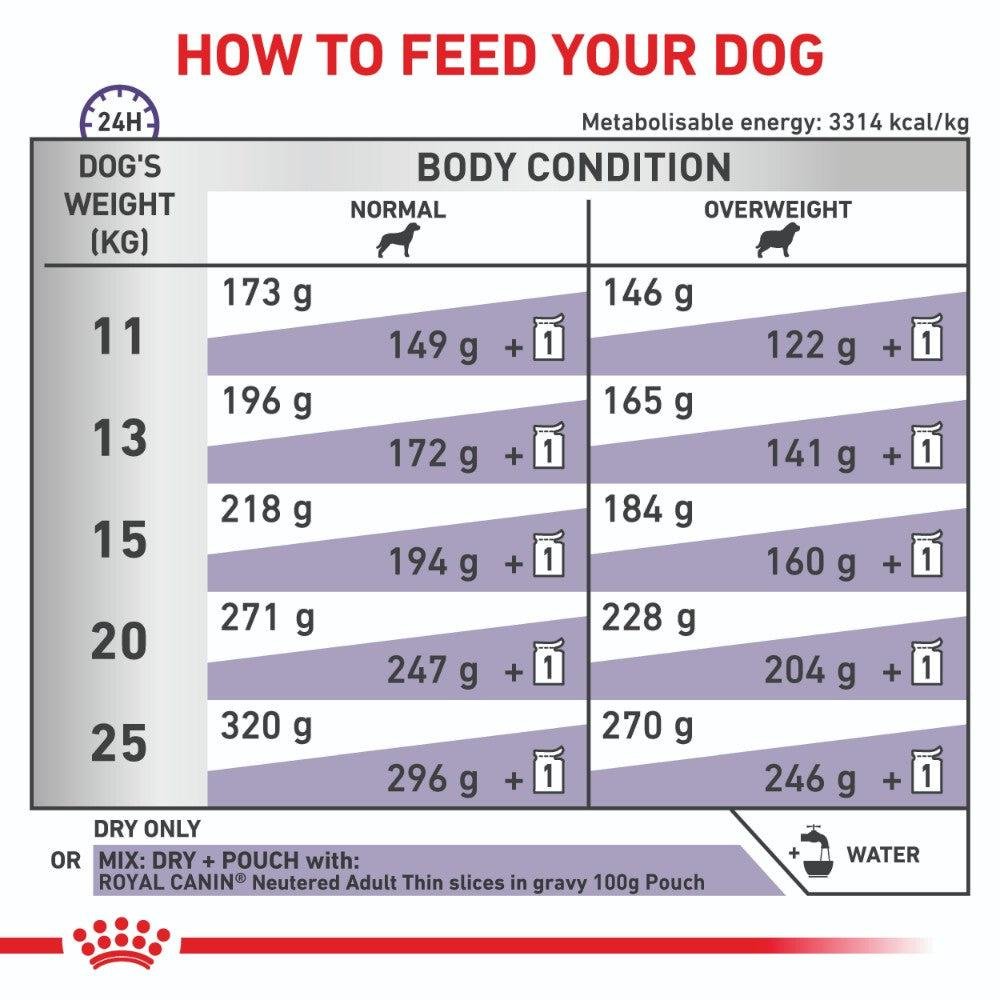 Royal Canin Expert Medium Breed Neutered Dry Dog Food - PetPost Australia