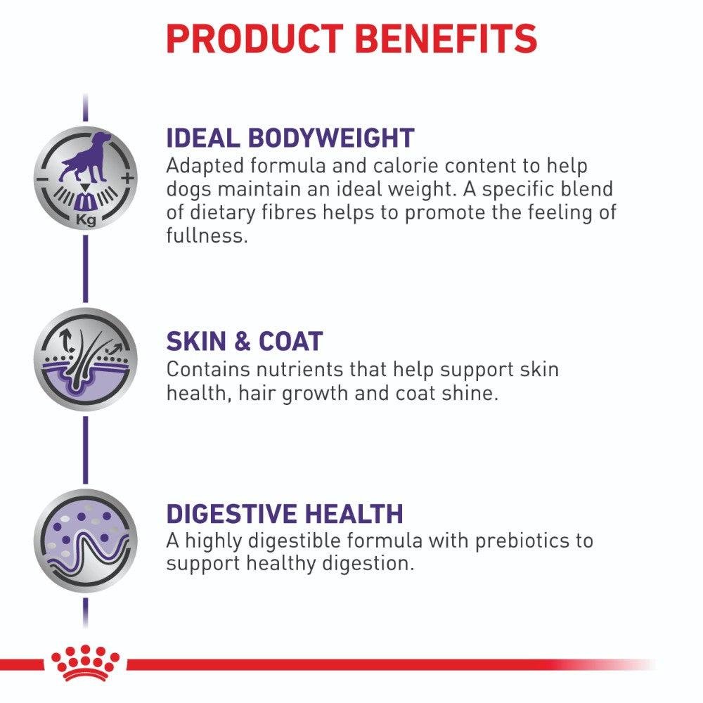 Royal Canin Expert Medium Breed Neutered Dry Dog Food - PetPost Australia