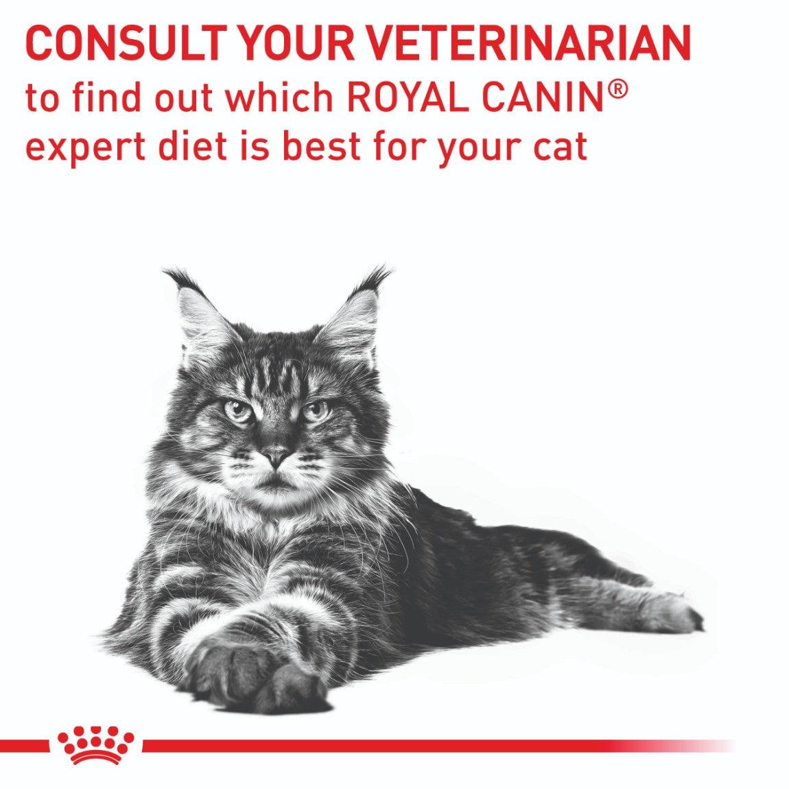 Royal Canin Expert Neutered Satiety Balance Dry Cat Food - PetPost Australia