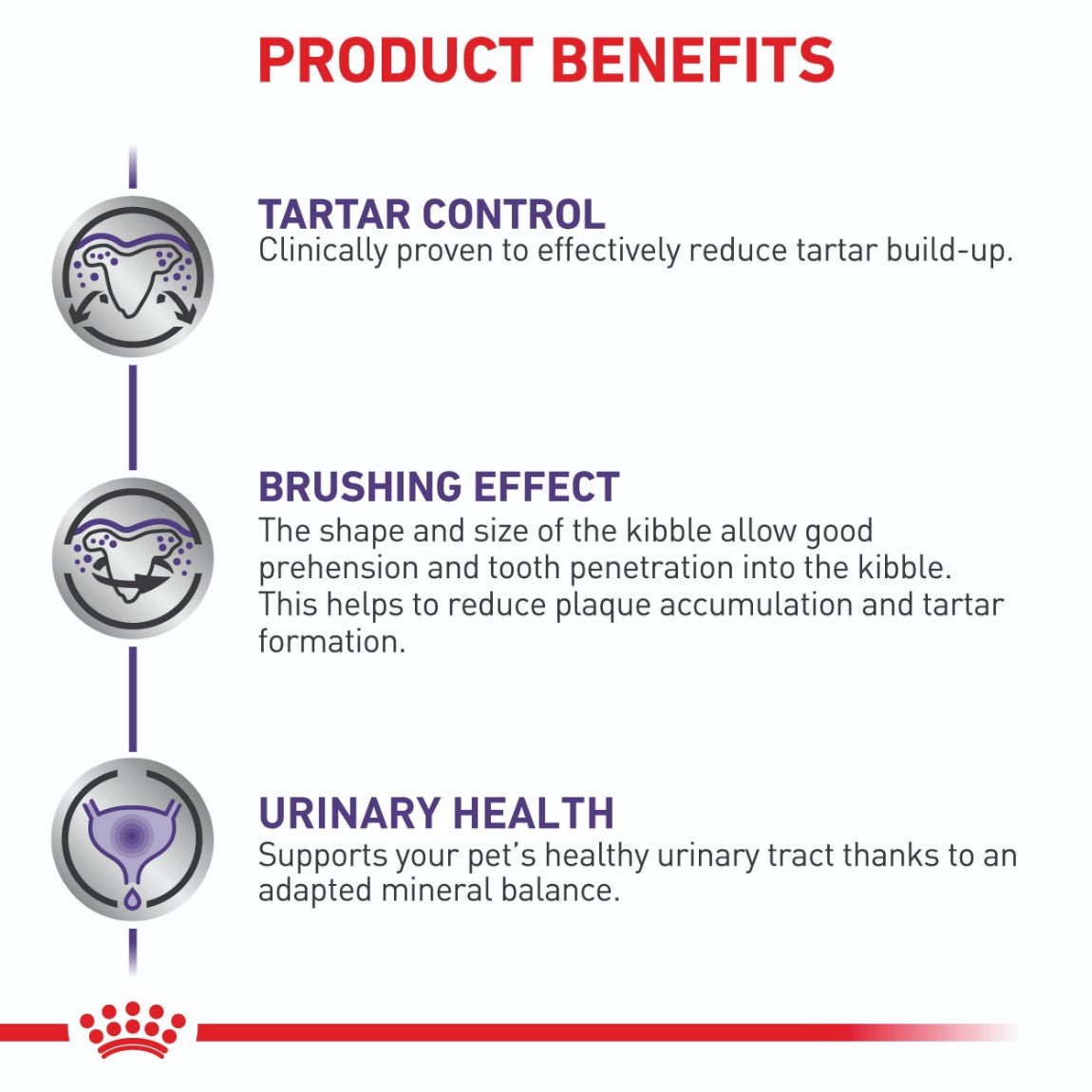 Royal Canin Expert Small Breed Dental Special Dry Dog Food - PetPost Australia