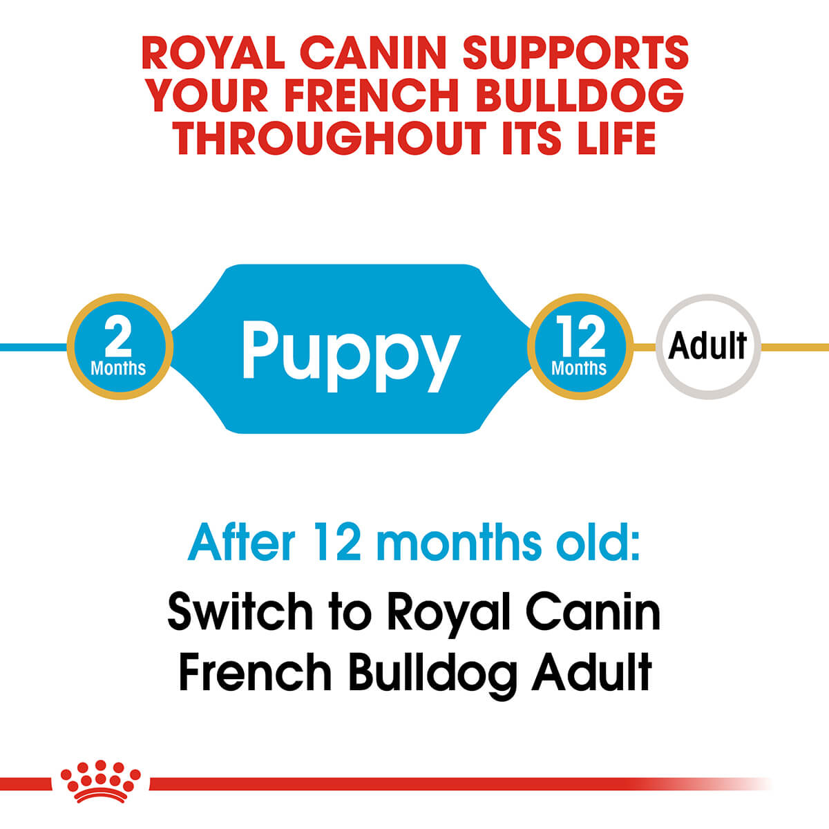 Royal Canin French Bulldog Puppy Dry Dog Food - PetPost Australia