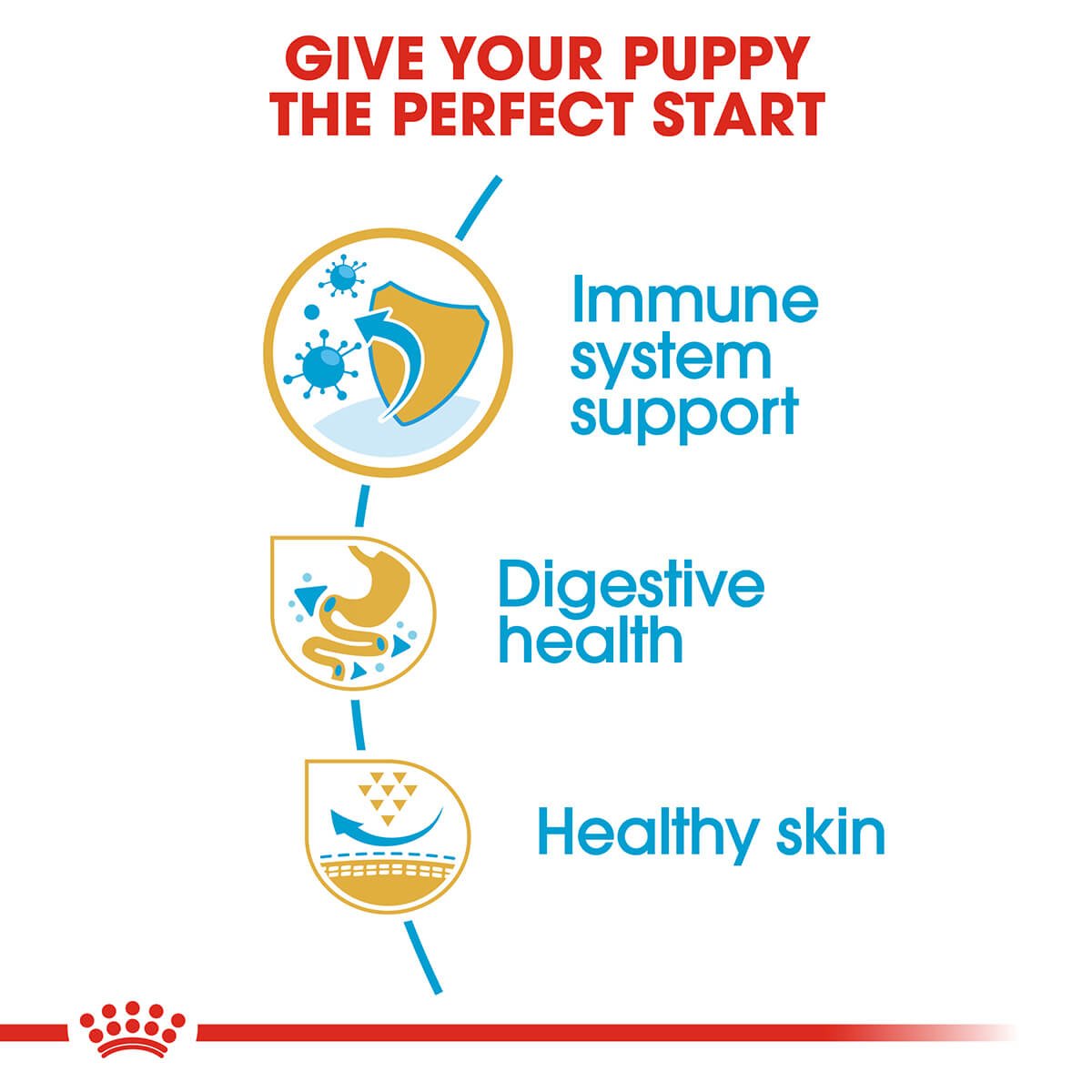 Royal Canin French Bulldog Puppy Dry Dog Food - PetPost Australia