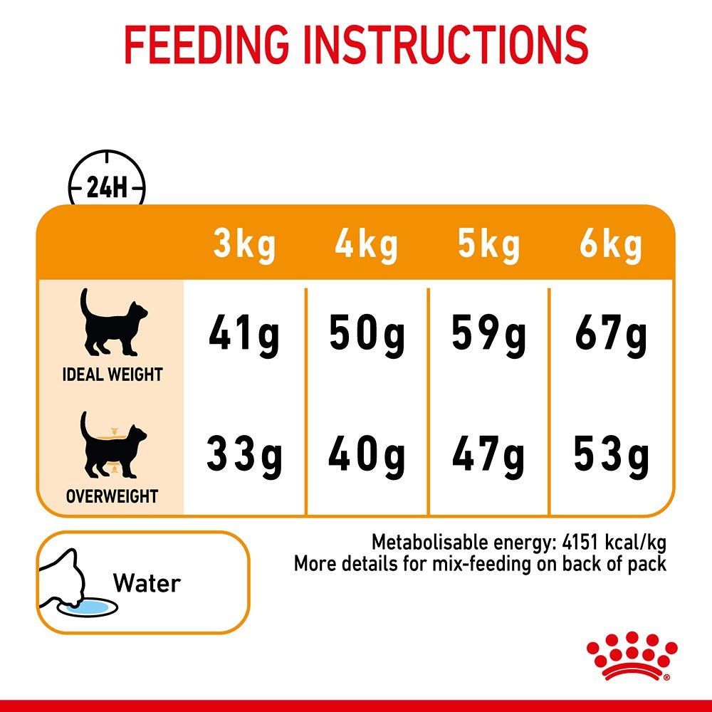 Royal Canin Hair & Skin Care Adult Dry Cat Food 2kg - PetPost Australia