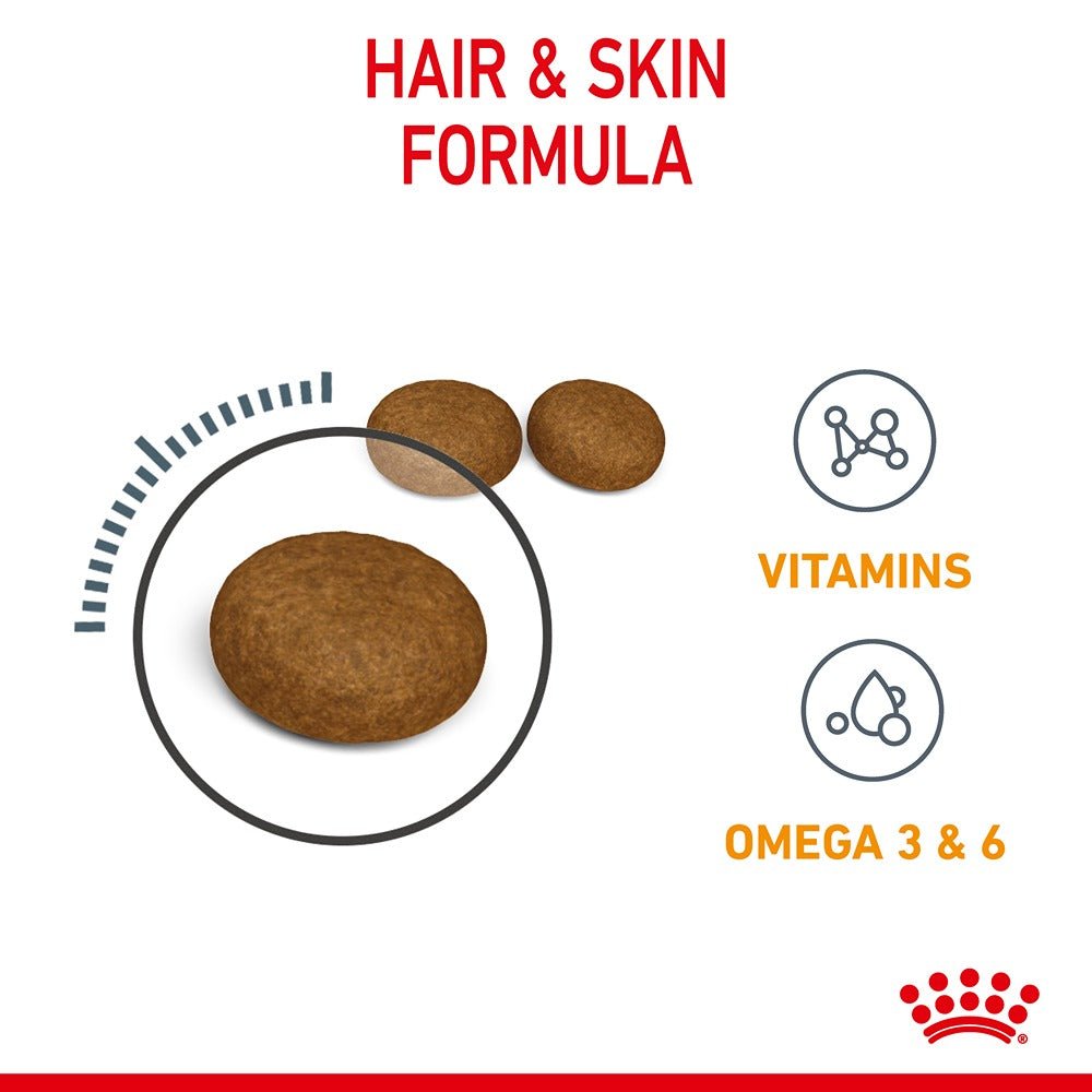 Royal Canin Hair & Skin Care Adult Dry Cat Food 2kg - PetPost Australia