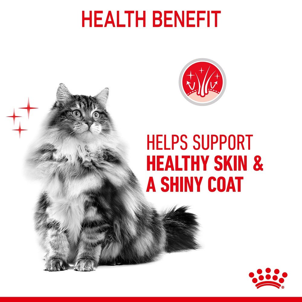 Royal Canin Hair & Skin Care Adult Dry Cat Food 2kg - PetPost Australia