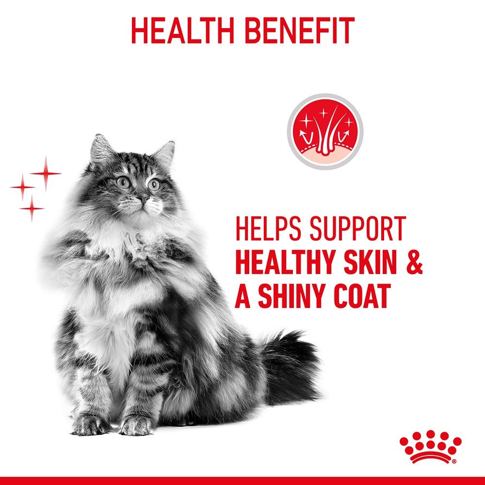 Royal Canin Hair & Skin Jelly Adult Wet Cat Food 85g - PetPost Australia
