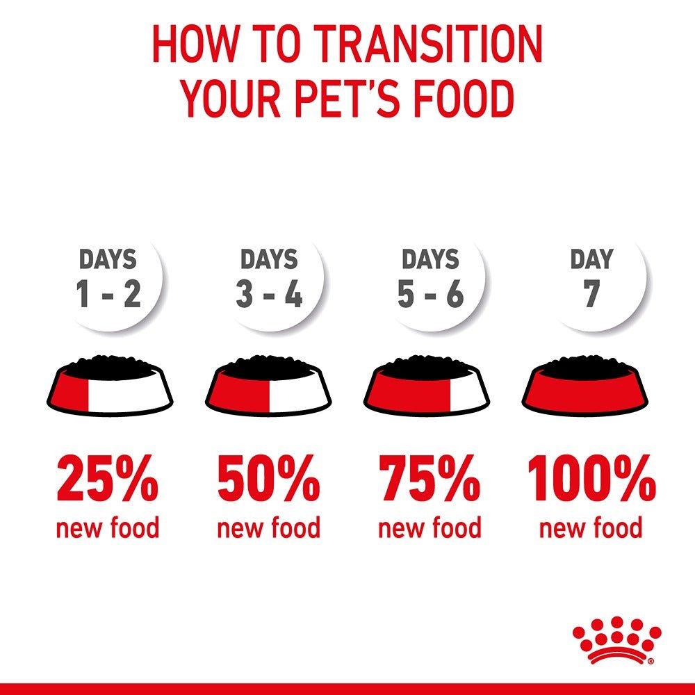 Royal Canin Hair & Skin Jelly Adult Wet Cat Food 85g - PetPost Australia