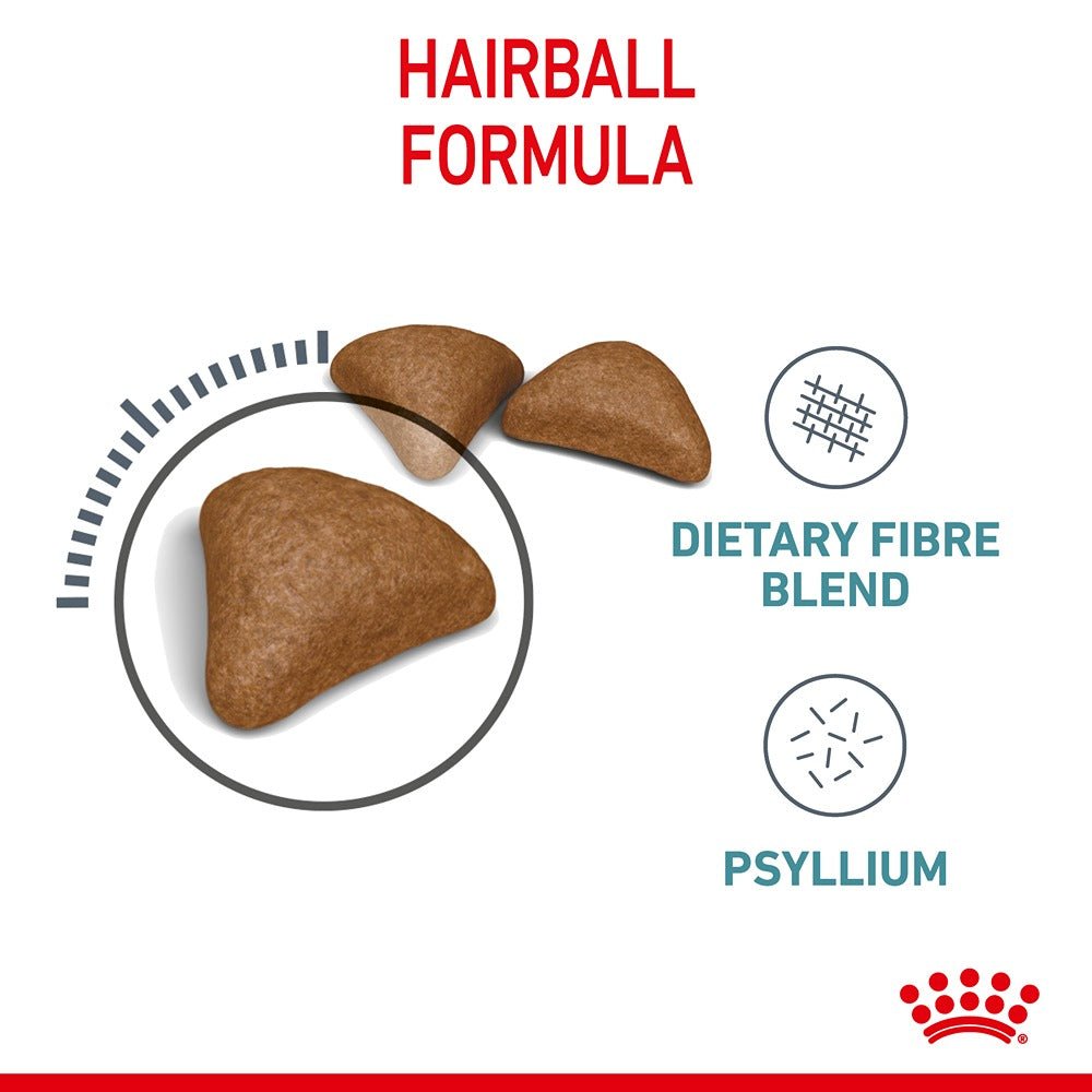 Royal Canin Hairball Care Adult Dry Cat Food - PetPost Australia