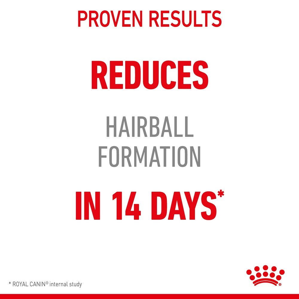 Royal Canin Hairball Care Adult Dry Cat Food - PetPost Australia