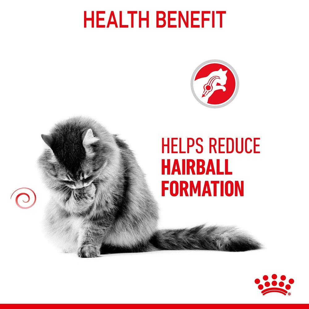 Royal Canin Hairball Care Adult Dry Cat Food - PetPost Australia