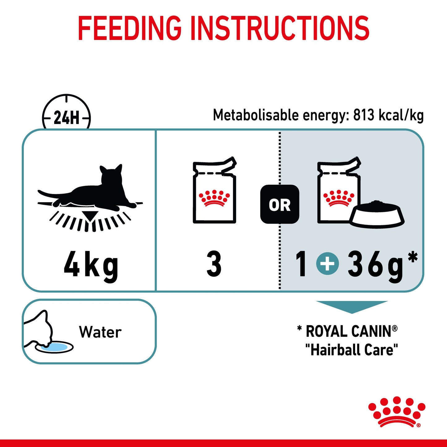 Royal Canin Hairball Care Jelly Adult Wet Cat Food Pouches - PetPost Australia