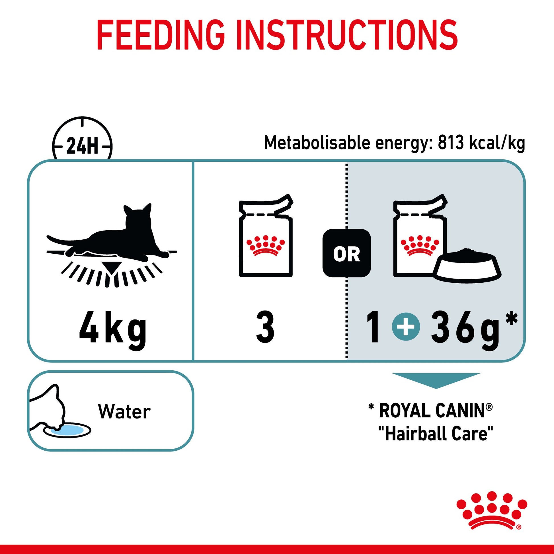 Royal Canin Hairball Care Jelly Adult Wet Cat Food Pouches - PetPost Australia