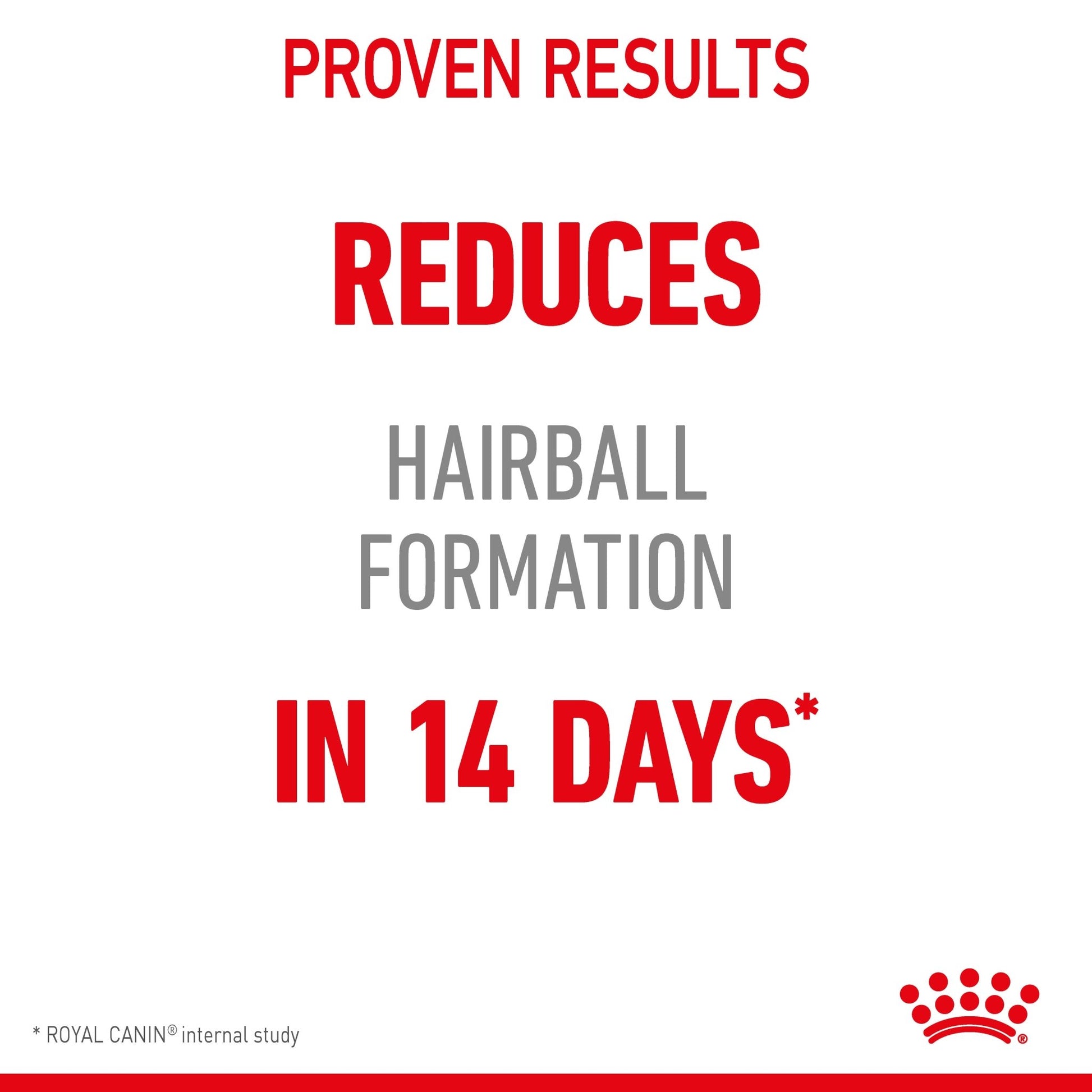 Royal Canin Hairball Care Jelly Adult Wet Cat Food Pouches - PetPost Australia