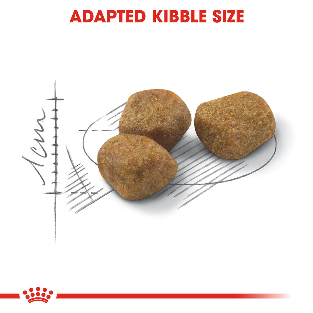 Royal Canin Indoor 7+ Senior Dry Cat Food - PetPost Australia