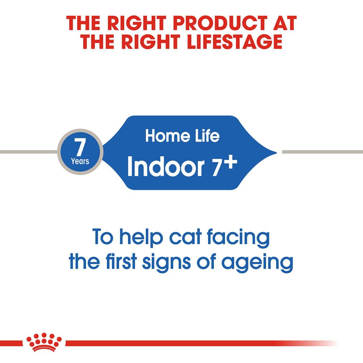 Royal Canin Indoor 7+ Senior Dry Cat Food - PetPost Australia