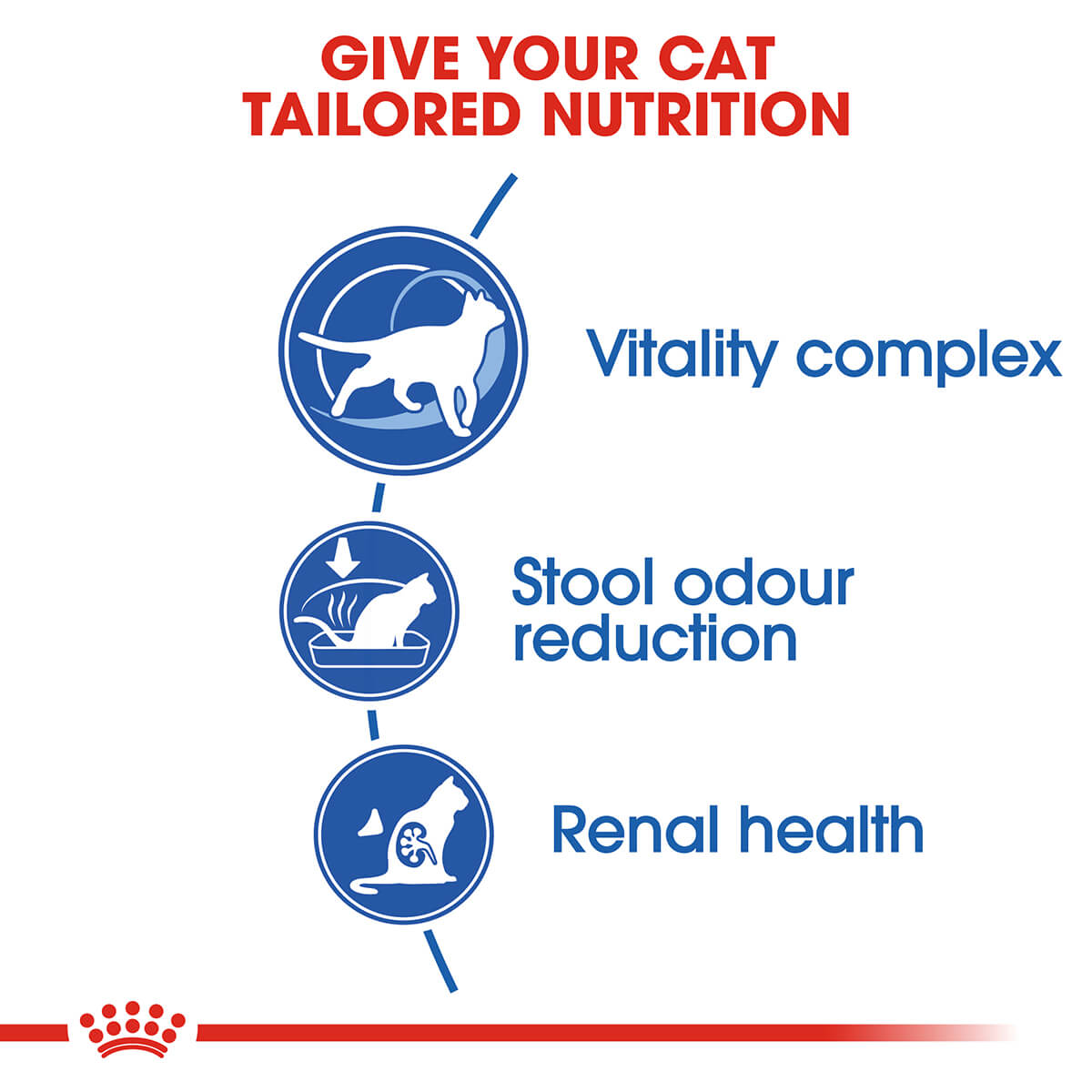 Royal Canin Indoor 7+ Senior Dry Cat Food - PetPost Australia