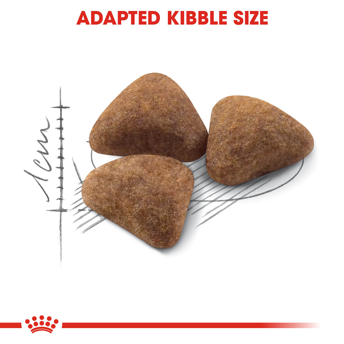 Royal Canin Indoor Adult Dry Cat Food - PetPost Australia