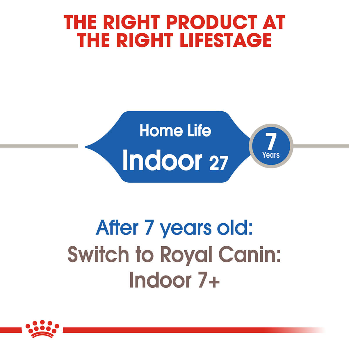 Royal Canin Indoor Adult Dry Cat Food - PetPost Australia