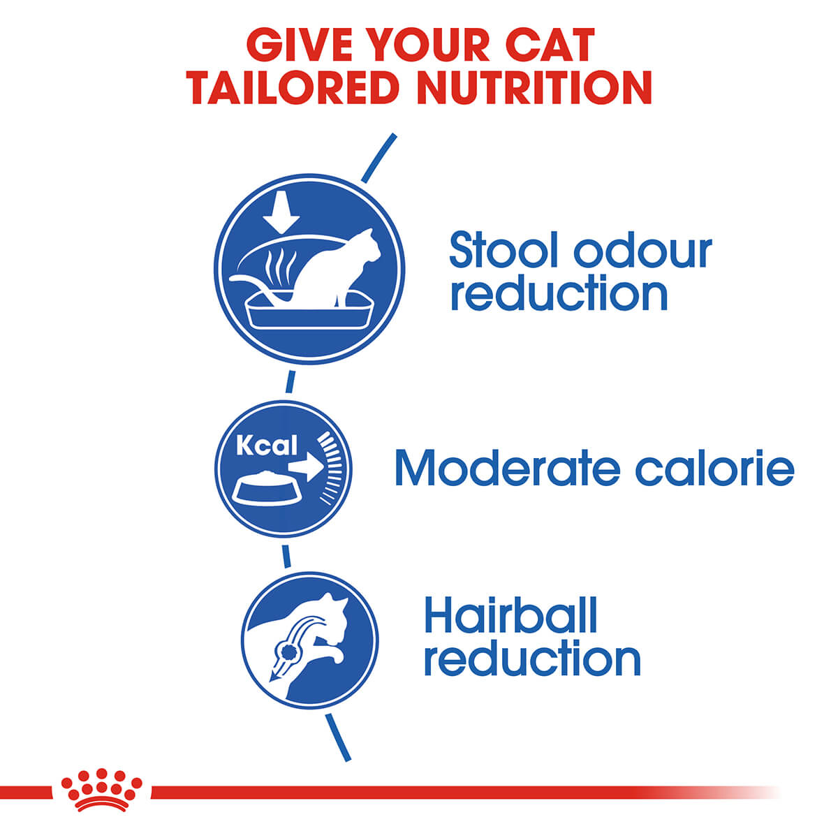 Royal Canin Indoor Adult Dry Cat Food - PetPost Australia