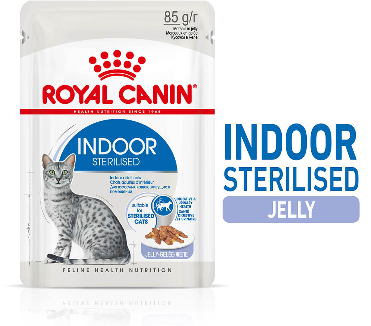 Royal Canin Indoor Jelly Wet Cat Food - PetPost Australia