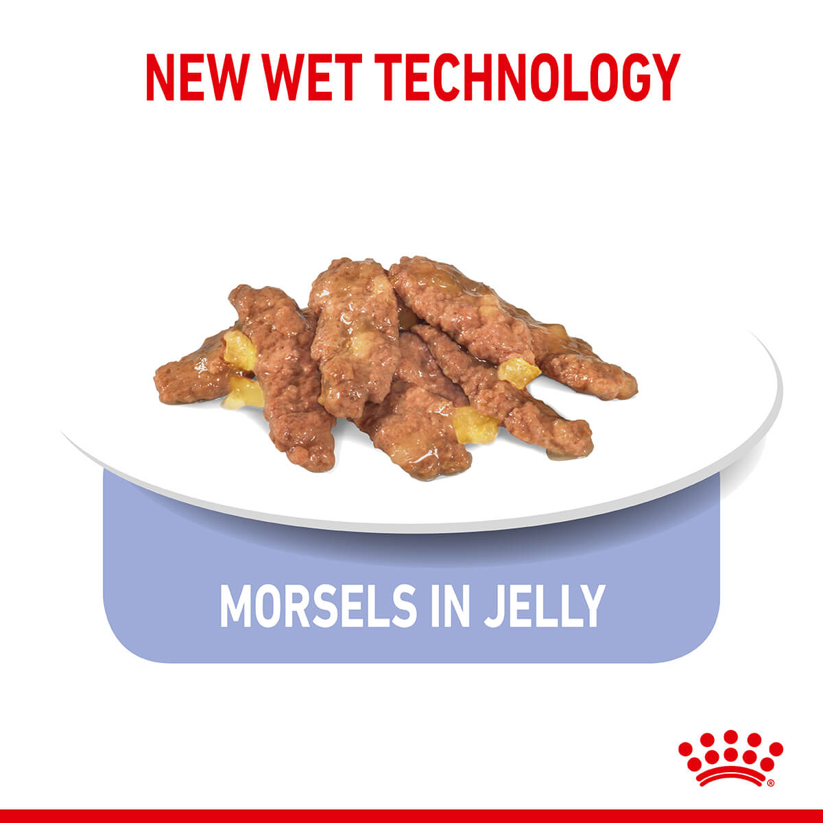 Royal Canin Indoor Jelly Wet Cat Food - PetPost Australia