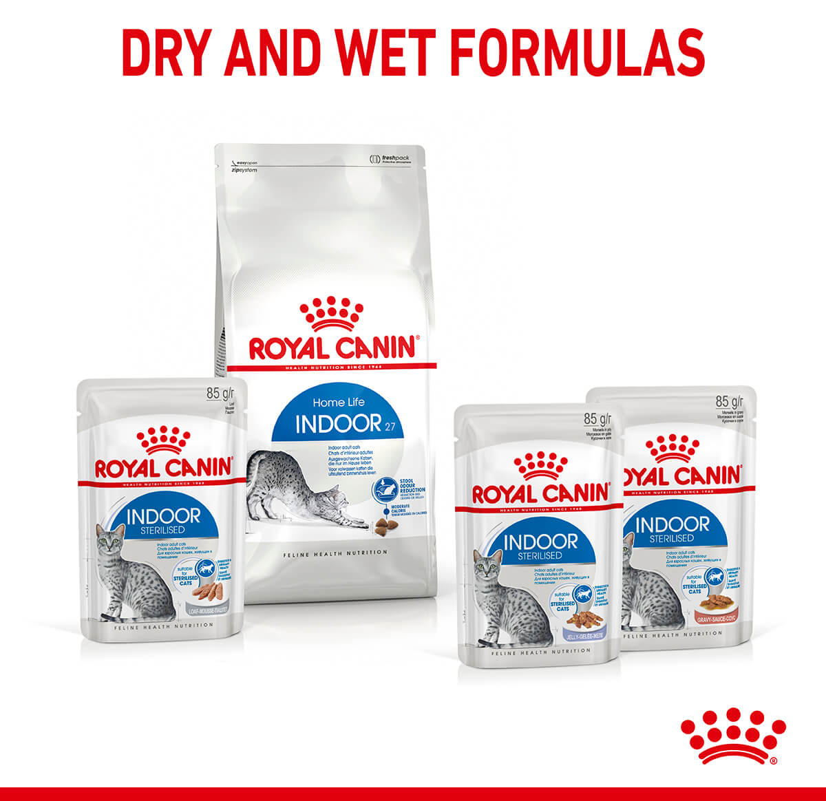 Royal Canin Indoor Jelly Wet Cat Food - PetPost Australia