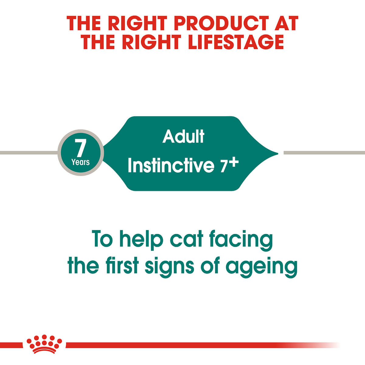 Royal Canin Instinctive 7+ Adult In Gravy Wet Cat Food - PetPost Australia