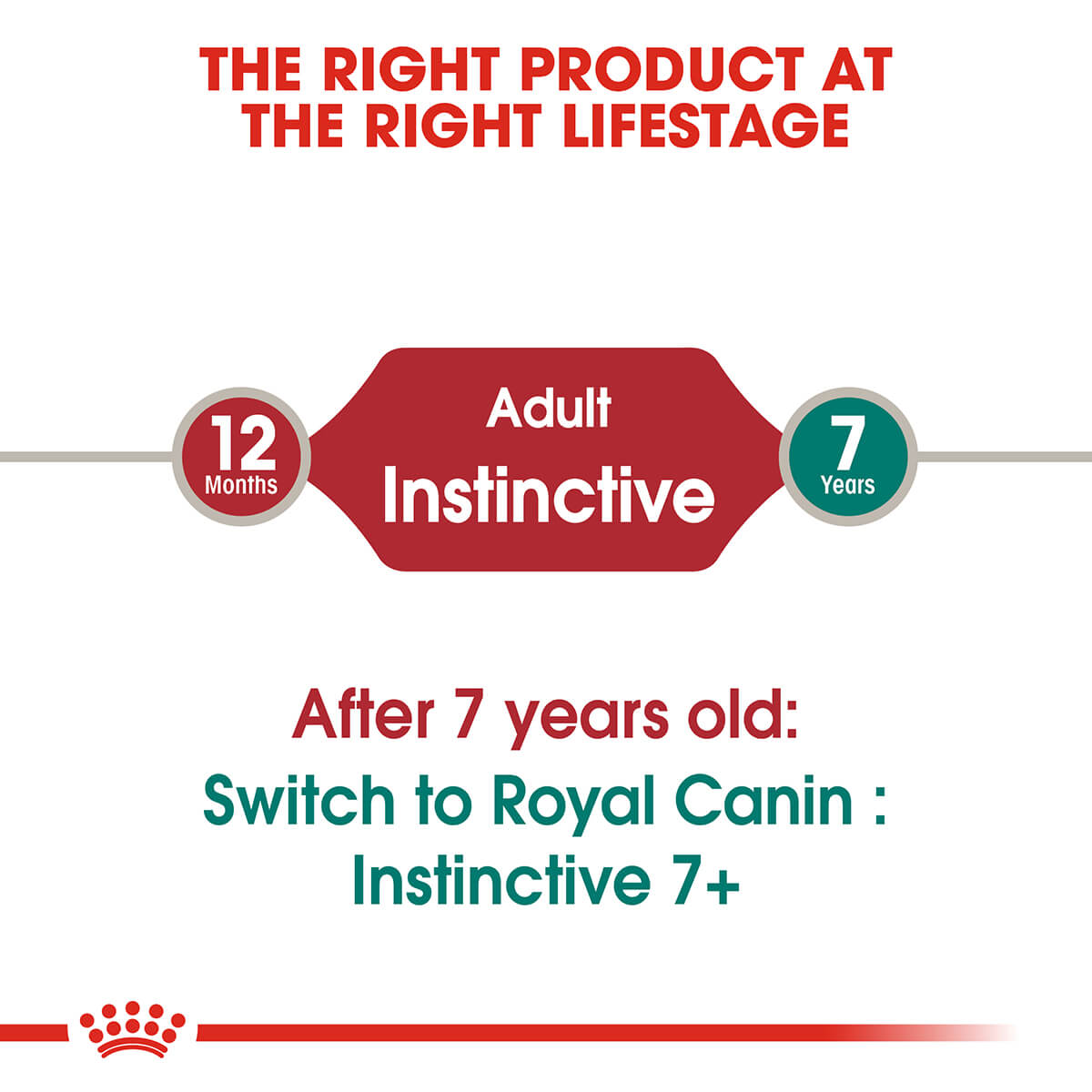 Royal Canin Instinctive Loaf Wet Cat Food - PetPost Australia