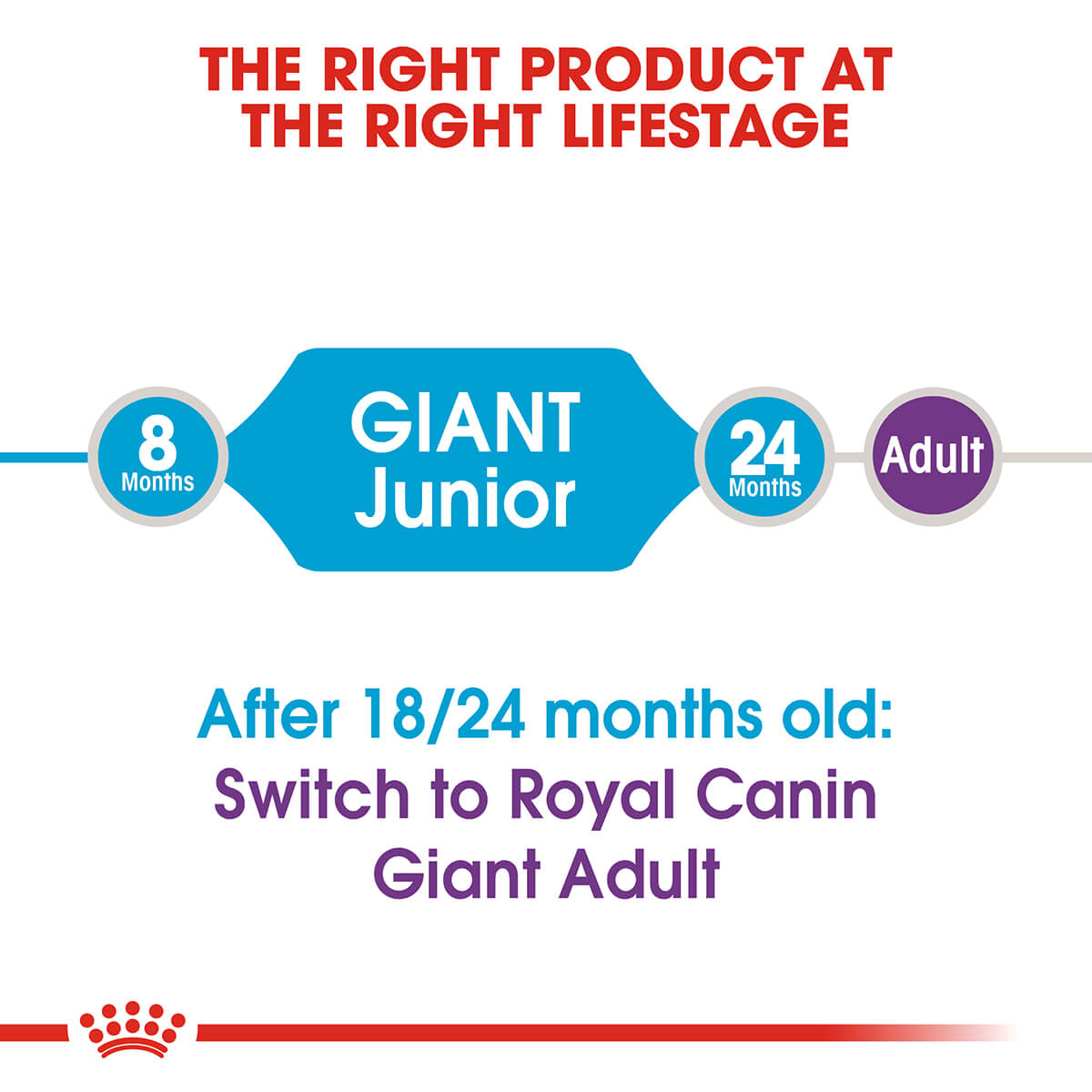 Royal Canin Junior Giant Puppy Chicken Dry Dog Food - PetPost Australia