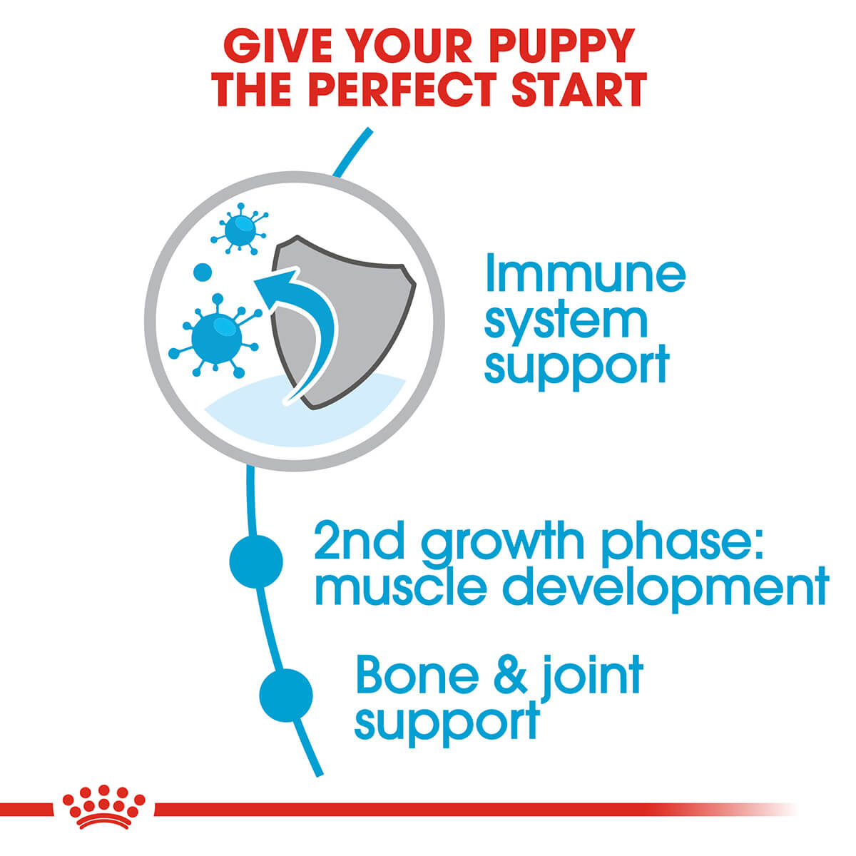 Royal Canin Junior Giant Puppy Chicken Dry Dog Food - PetPost Australia
