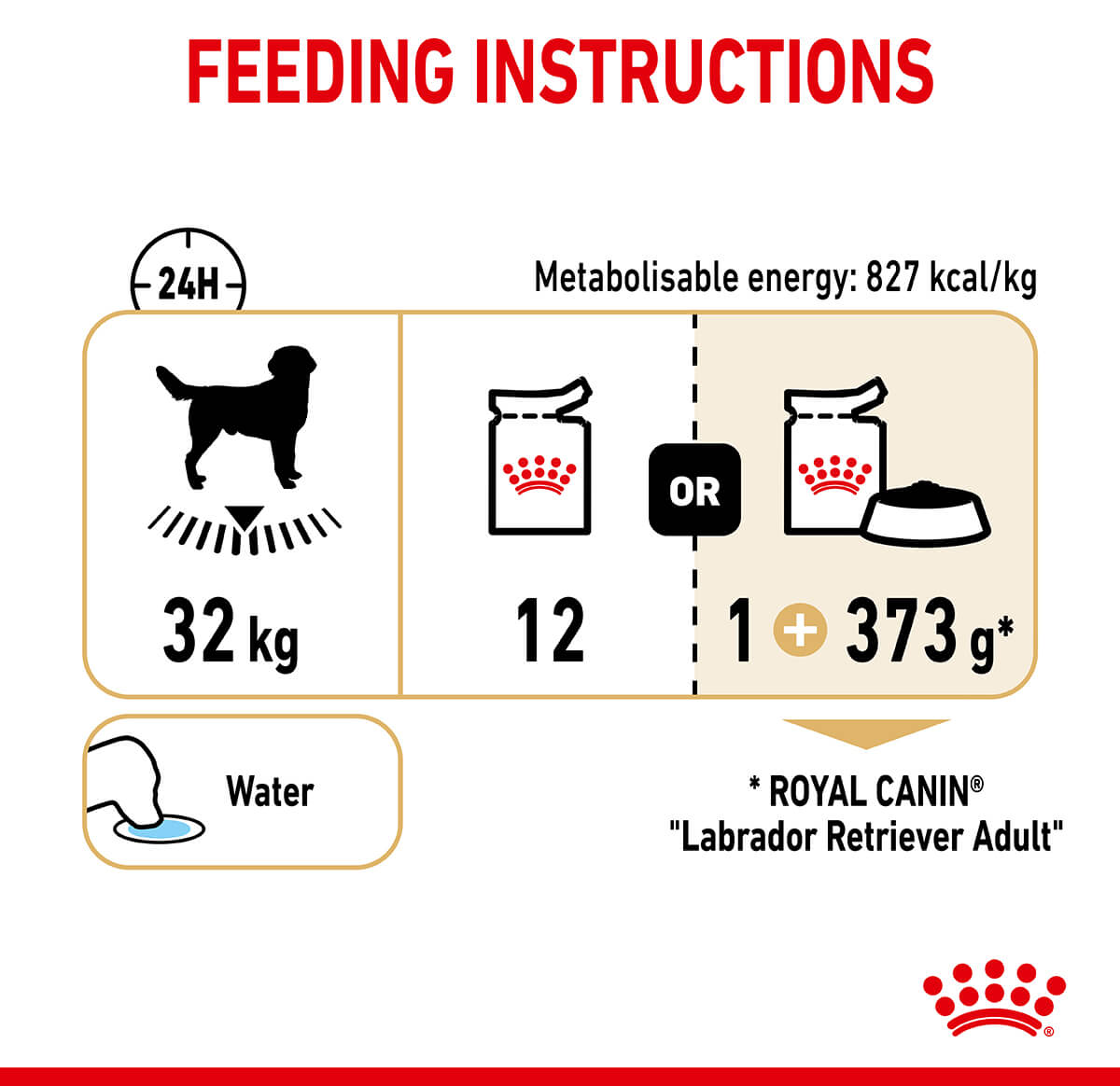 Royal Canin Labrador Retriever Loaf Wet Dog Food - PetPost Australia