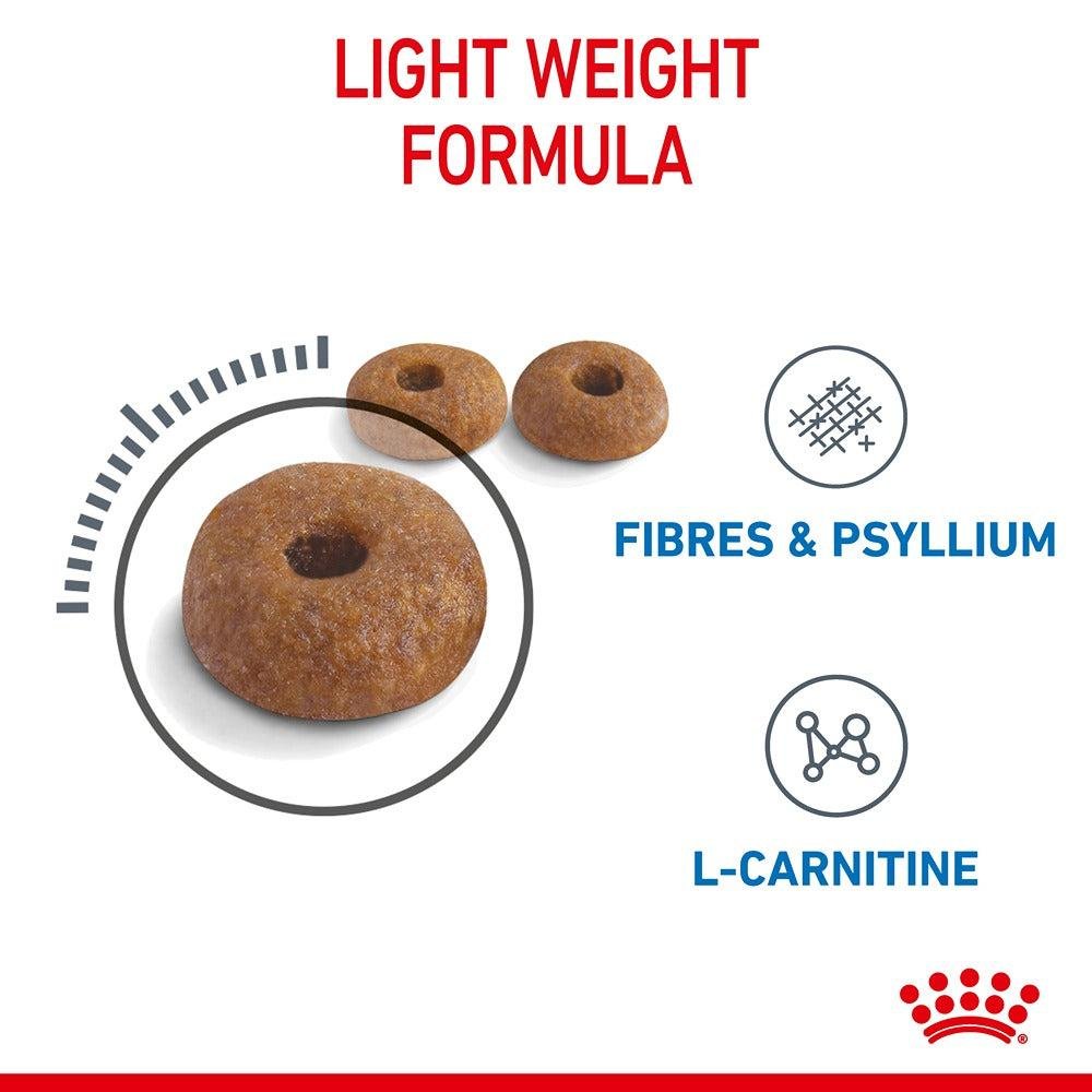 Royal Canin Light Weight Care Adult Dry Cat Food - PetPost Australia