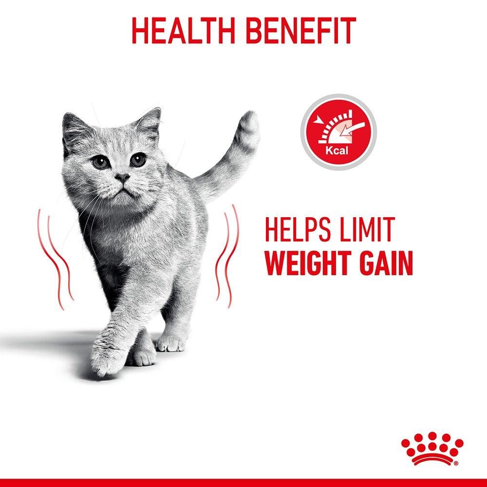 Royal Canin Light Weight Care Adult Dry Cat Food - PetPost Australia