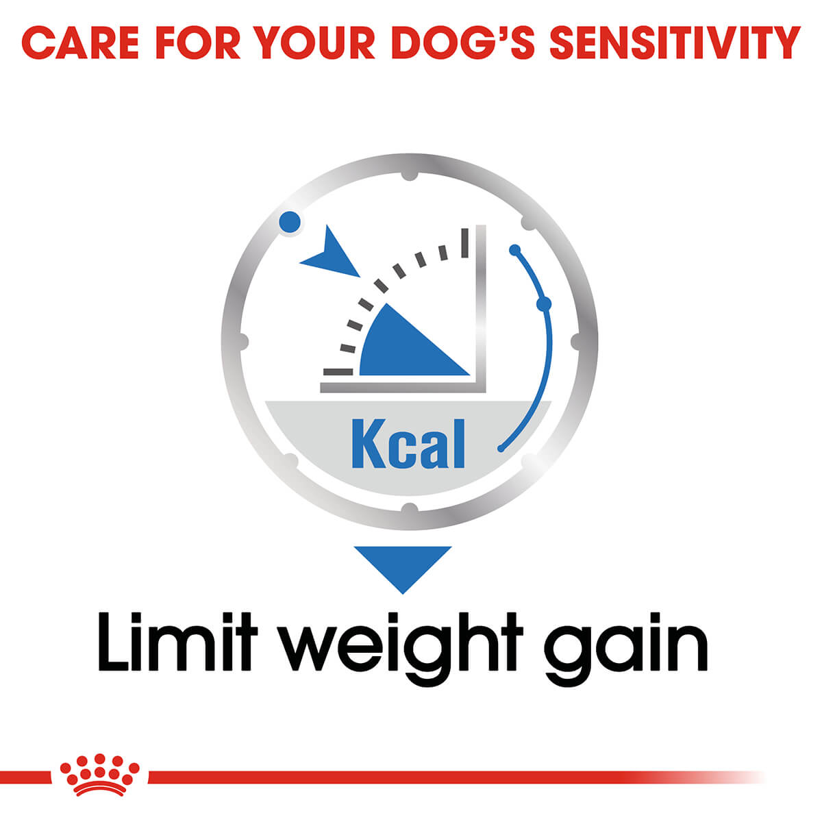 Royal Canin Light Weight Care Loaf Adult Wet Dog Food - PetPost Australia