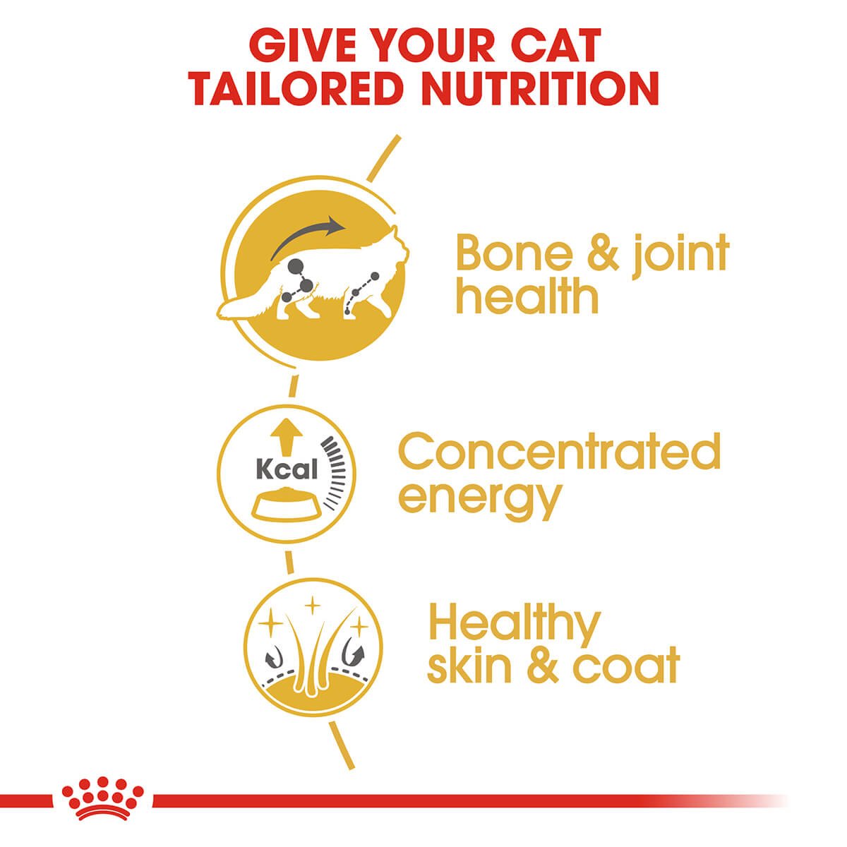 Royal Canin Maine Coon Adult In Gravy Wet Cat Food - PetPost Australia