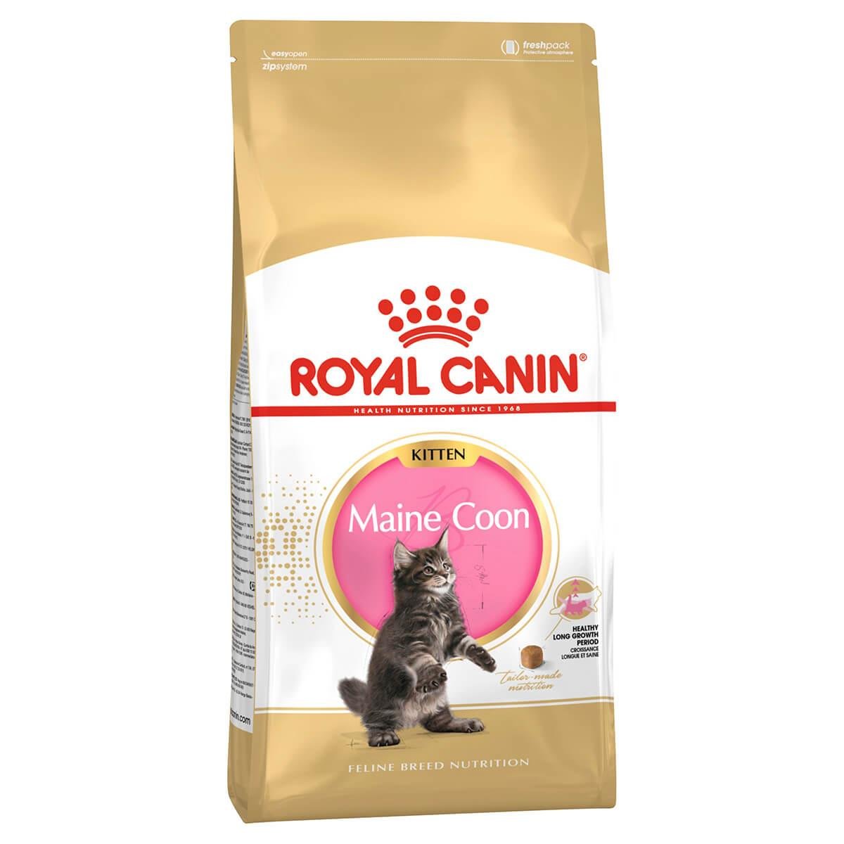 Royal Canin Maine Coon Kitten Dry Cat Food - PetPost Australia