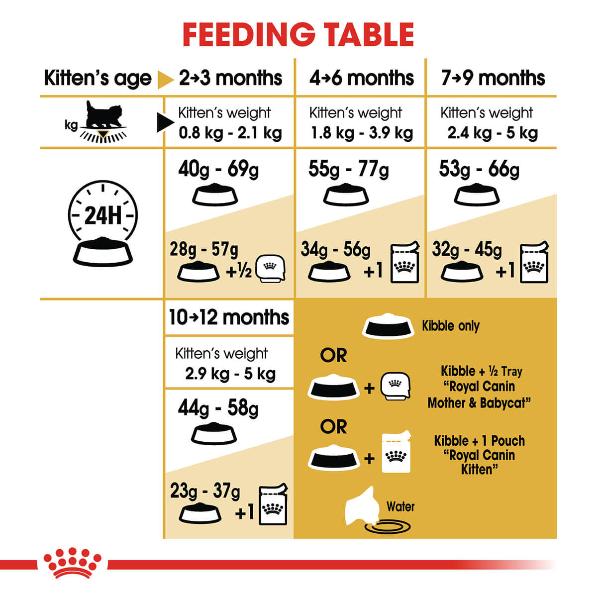 Royal Canin Maine Coon Kitten Dry Cat Food - PetPost Australia