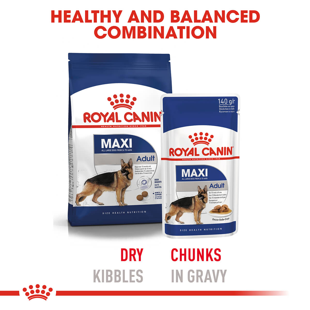Royal Canin Maxi Adult Wet Dog Food - PetPost Australia
