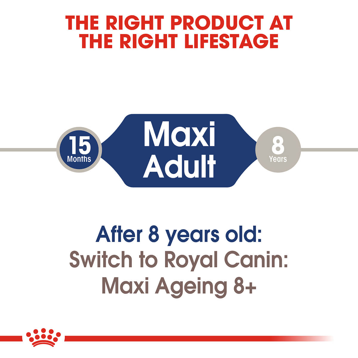 Royal Canin Maxi Adult Wet Dog Food - PetPost Australia