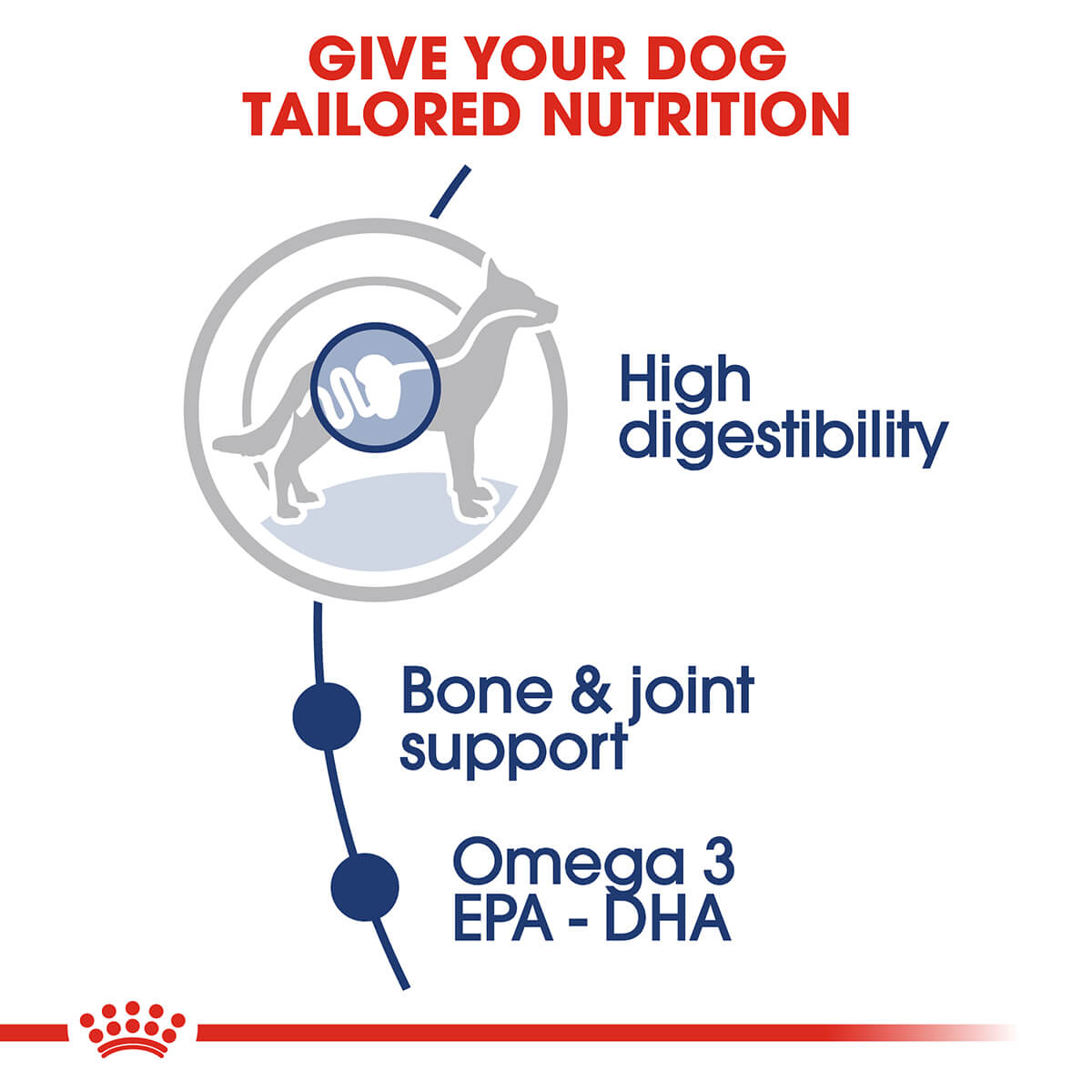 Royal Canin Maxi Adult Wet Dog Food - PetPost Australia