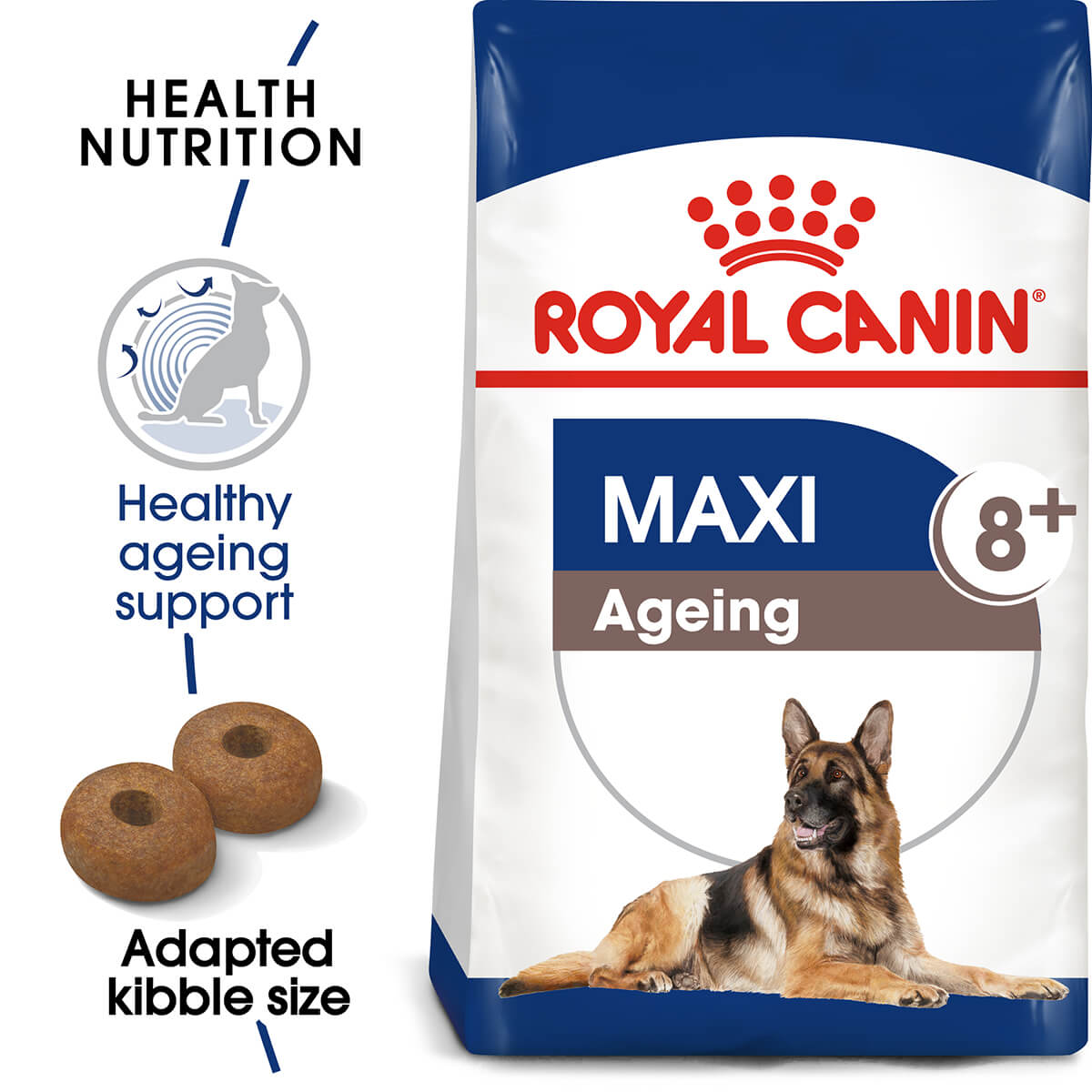 Royal Canin Maxi Ageing 8+ Senior Dry Dog Food - PetPost Australia