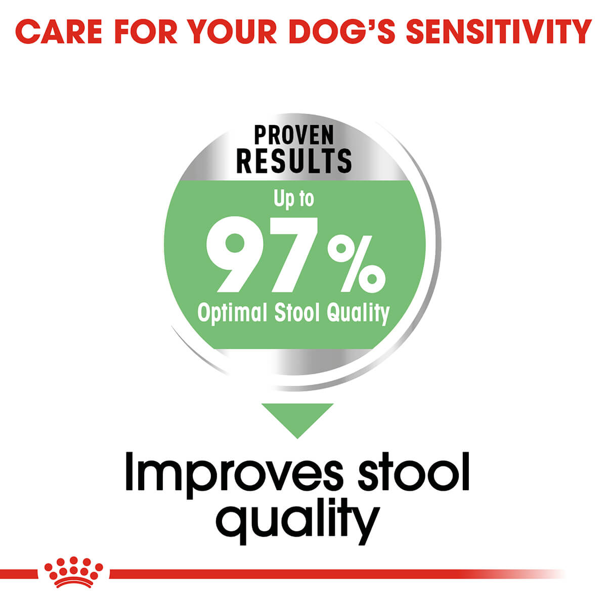 Royal Canin Maxi Digestive Care Adult Dry Dog Food - PetPost Australia